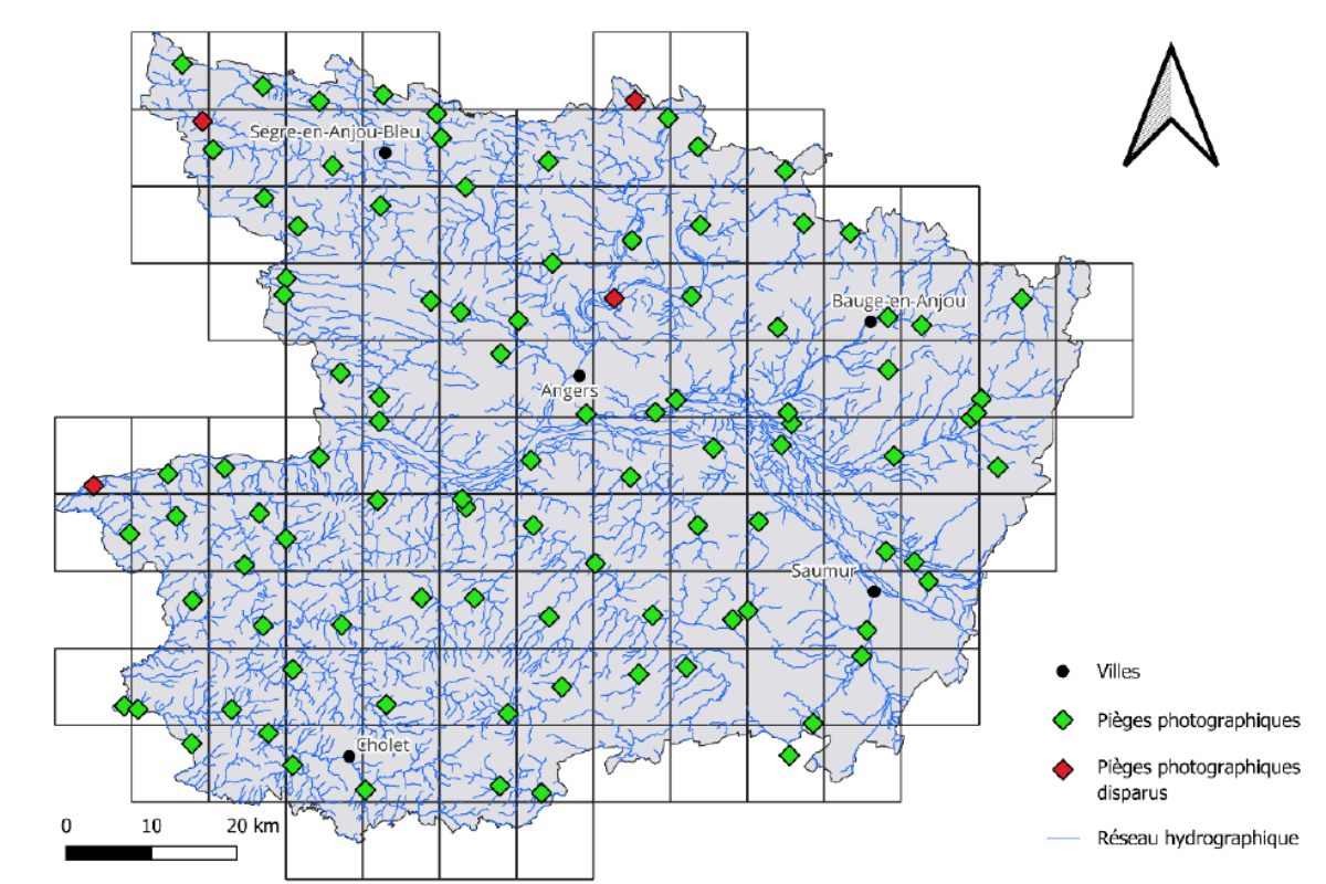 Réseau de pièges photographiques en Maine-et-Loire : leur répartition