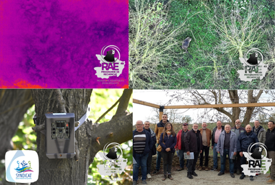 Plusieurs actions en cours en partenariat avec le Syndicat du Layon, de l&rsquo;Aubance et des Louets