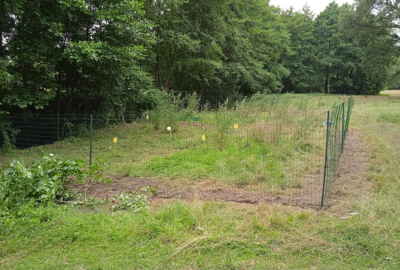 Quantification des impacts des RAE sur la dynamique des écosystèmes